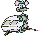 rat with computer mouse